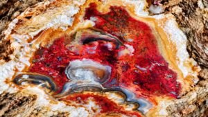 Close-up of a polished agate cross-section with red, orange, white and gray natural banding and mineral textures.