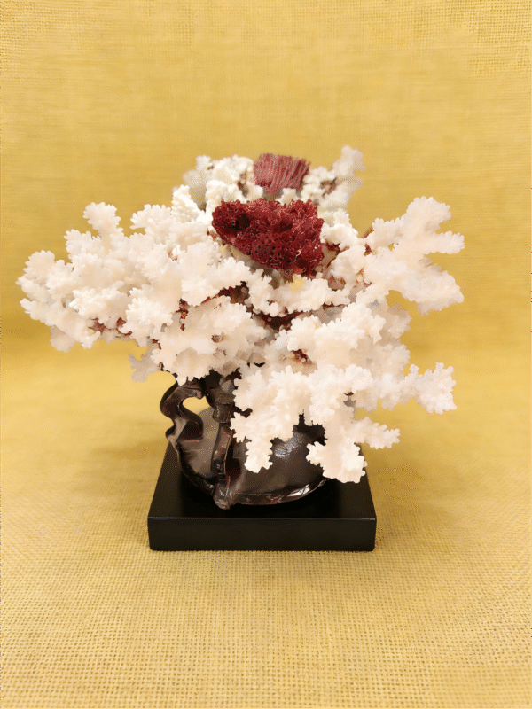 natural crystal collectible titled Crimson Heart in Snow, featuring white mineral formations with a deep red crystal core
