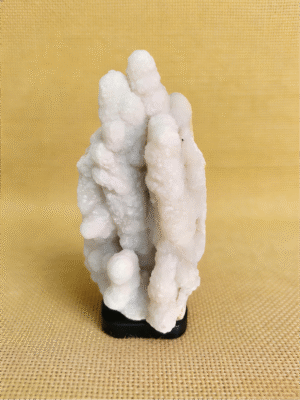 natural mineral collectible titled Twin Snow Pillars, featuring two vertical white stone formations rising like snow-covered columns