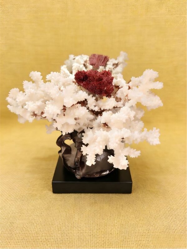 Crimson Heart in Snow – Natural Crystal Collectible natural crystal collectible titled Crimson Heart in Snow, featuring white mineral formations with a deep red crystal core