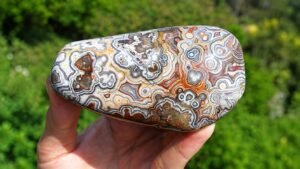 Polished Crazy Lace Agate stone with intricate white, gray, orange, and brown banded patterns, held in a hand against a green natural background.