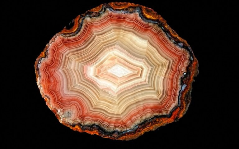 Close-up of a polished agate slice displaying intricate concentric bands in red, pink, cream, and white against a black background